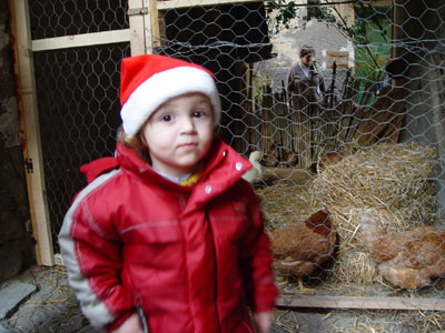 prep_presepe_11